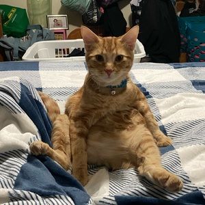 Meet your Posher, Lisa